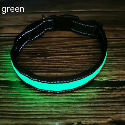 Reflective LED Dog Collar with Leather and Ribbon Design