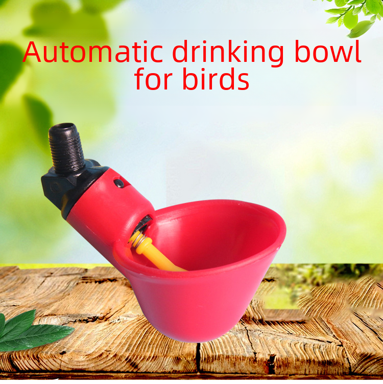 Chick Watering Bowl for Quail and Pigeon Wholesale