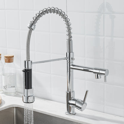 Brushed Nickel Dual-Function Kitchen Faucet