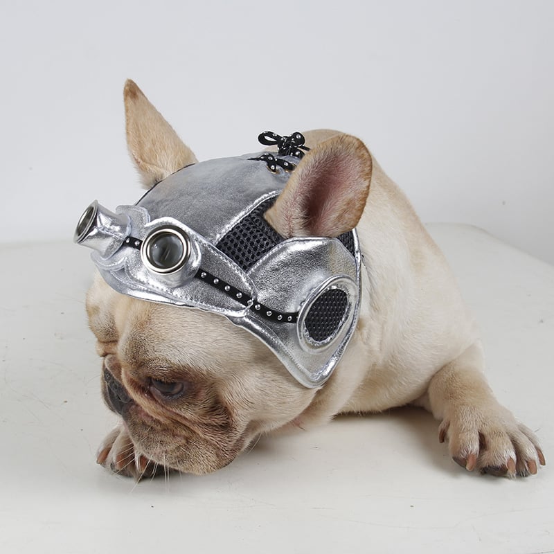 Pet Party Dress for Dogs and Cats
