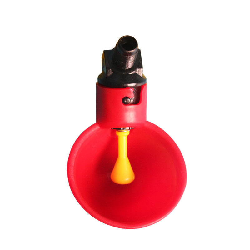 Chick Watering Bowl for Quail and Pigeon Wholesale
