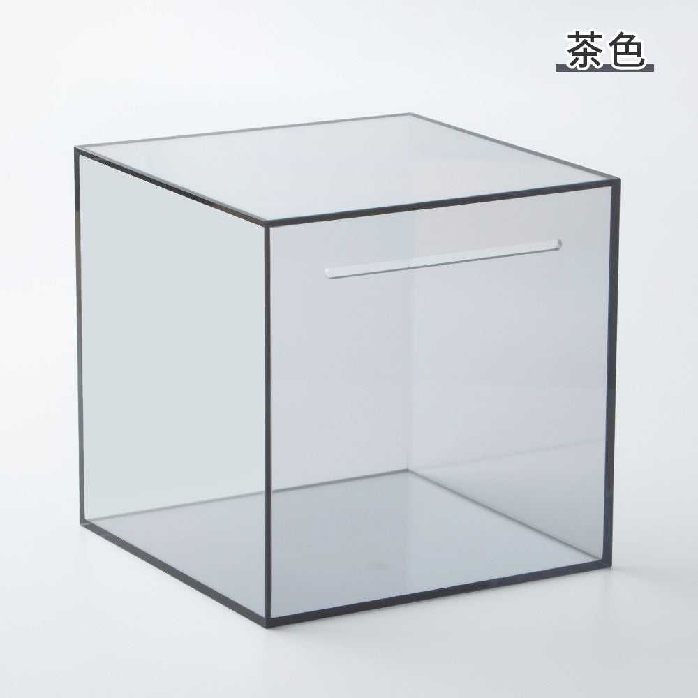 Acrylic Coin Bank