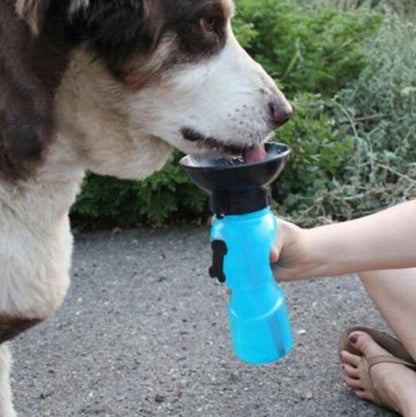 Portable Pet Water Bottle with Press Button Design