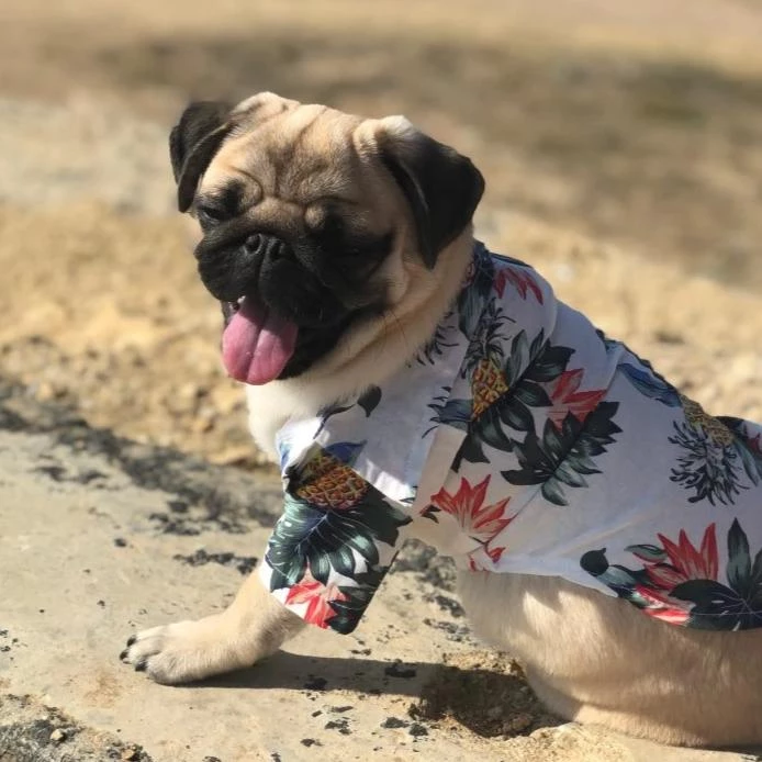 Spring Collection Fashionable Dog Shirt - Comfortable Cotton
