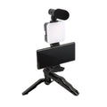 Multifunctional Desktop Beauty Leg Light with Microphone