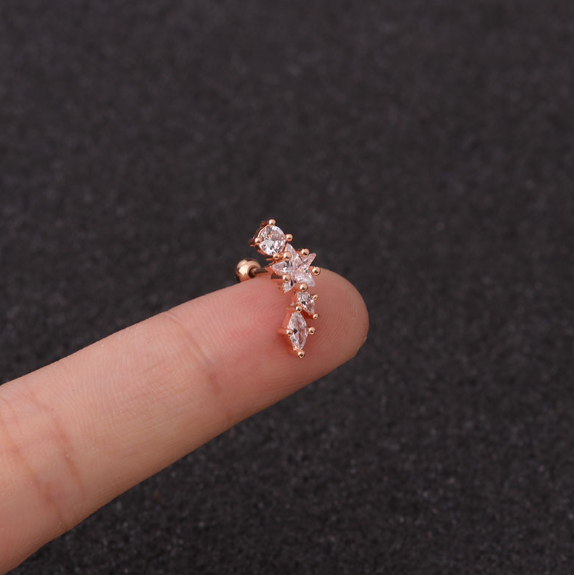 Stainless Steel Star Zirconia Screw Earrings (Pierced)